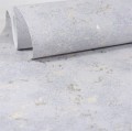 Tapeta SZARY beton TYNK ze ZŁOTYM glamour Flizelina