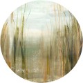 Tapeta Koło Canna