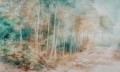 Foresta- Tapeta w standaryzowanych rolkach