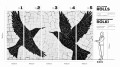 Birds- Tapeta w standaryzowanych rolkach