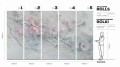 Sakura- Tapeta w standaryzowanych rolkach