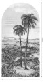 Tapeta Łuk Palm