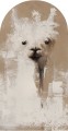 Tapeta Łuk Lama