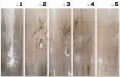 Aves - Tapeta w standaryzowanych rolkach