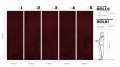 Bene Burgundy - Tapeta w standaryzowanych rolkach