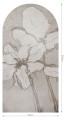 Tapeta Łuk Iris