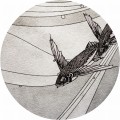 Tapeta Koło Umi