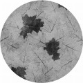 Tapeta Koło Repose WMF011