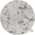 Tapeta Koło Kotone Beige
