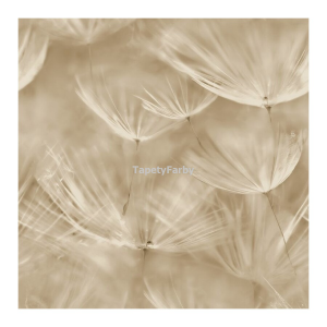 Tapeta delikatne DMUCHAWCE beżowa nowoczesny wzór flizelina do mycia
